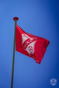 Vlag met logo van vv Dalen